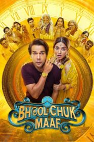 Bhool Chuk Maaf (2025) Hindi PreDVD